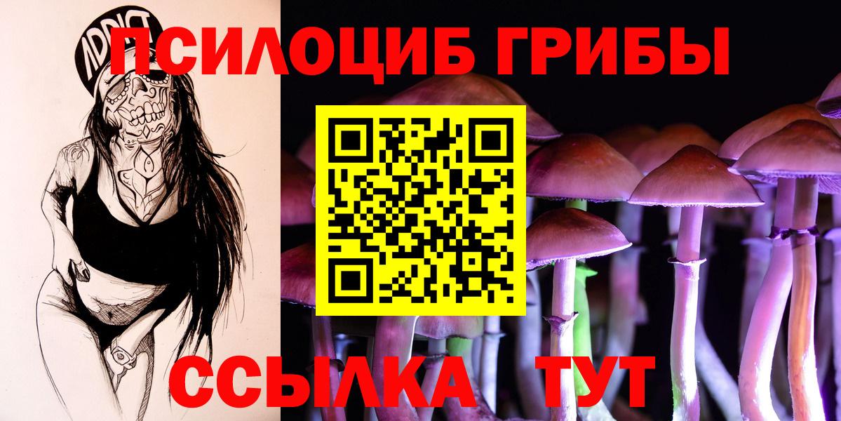 Галлюциногенные грибы Psilocybe Гуково