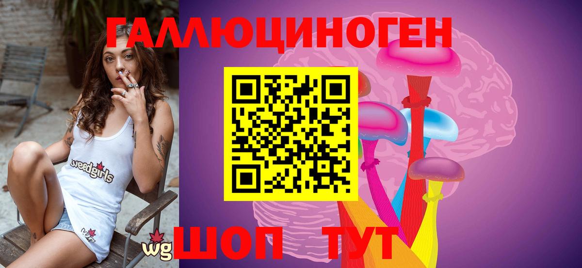Гуково  Псилоцибиновые грибы GOLDEN TEACHER  Вход с VPN 